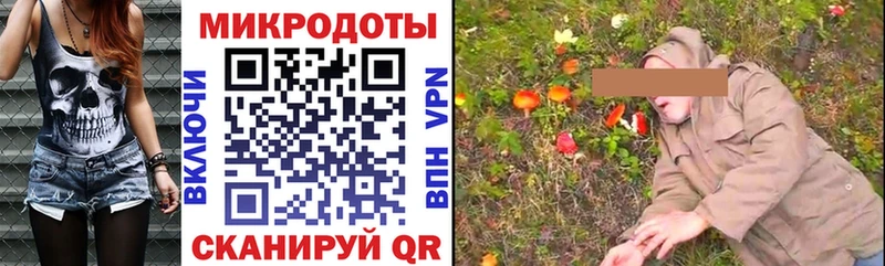 Галлюциногенные грибы Psilocybe  Октябрьск 